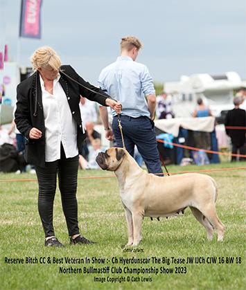 NBC Champ. Show November 2023